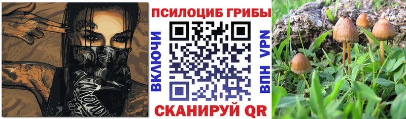 Галлюциногенные грибы ЛСД Липецк